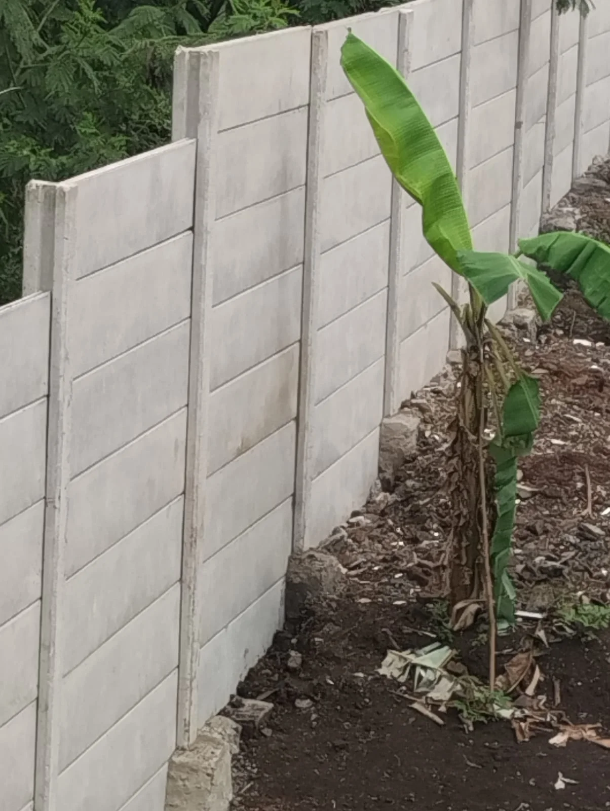 Bapak Riza Bogor