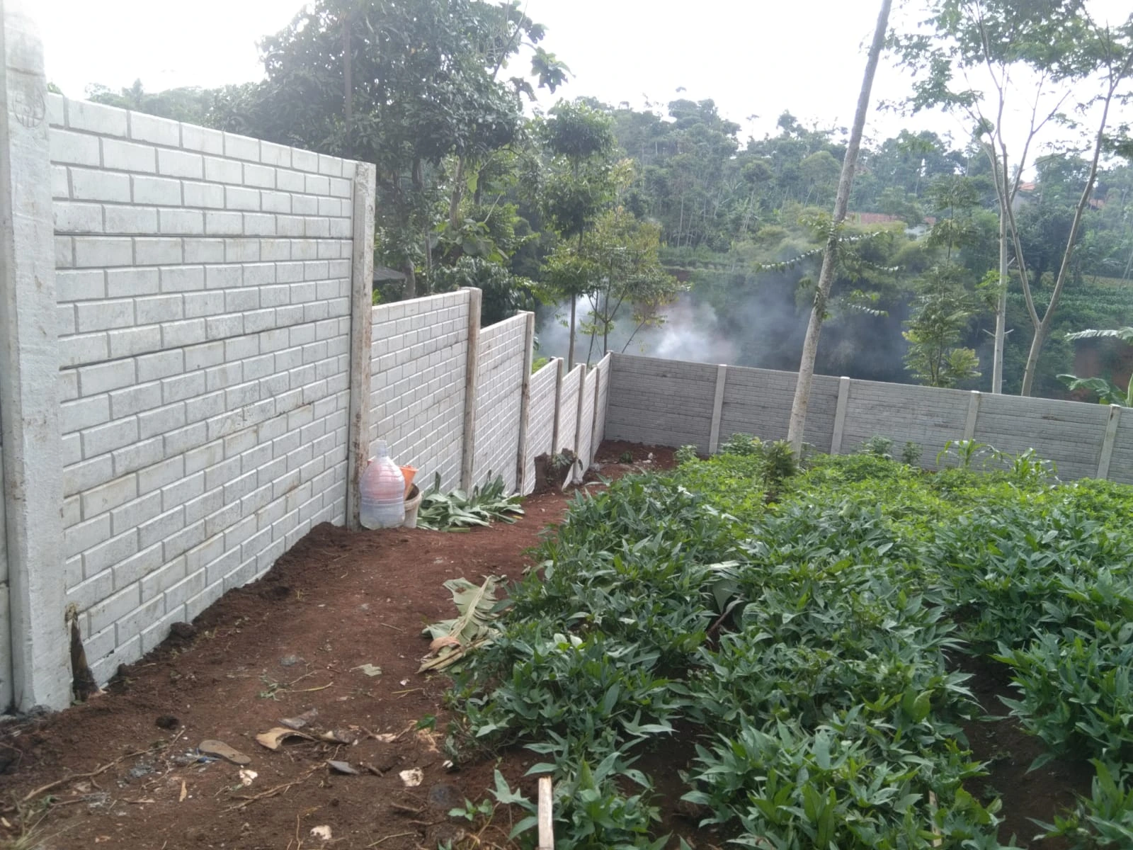 Cilembu Bapak Dias