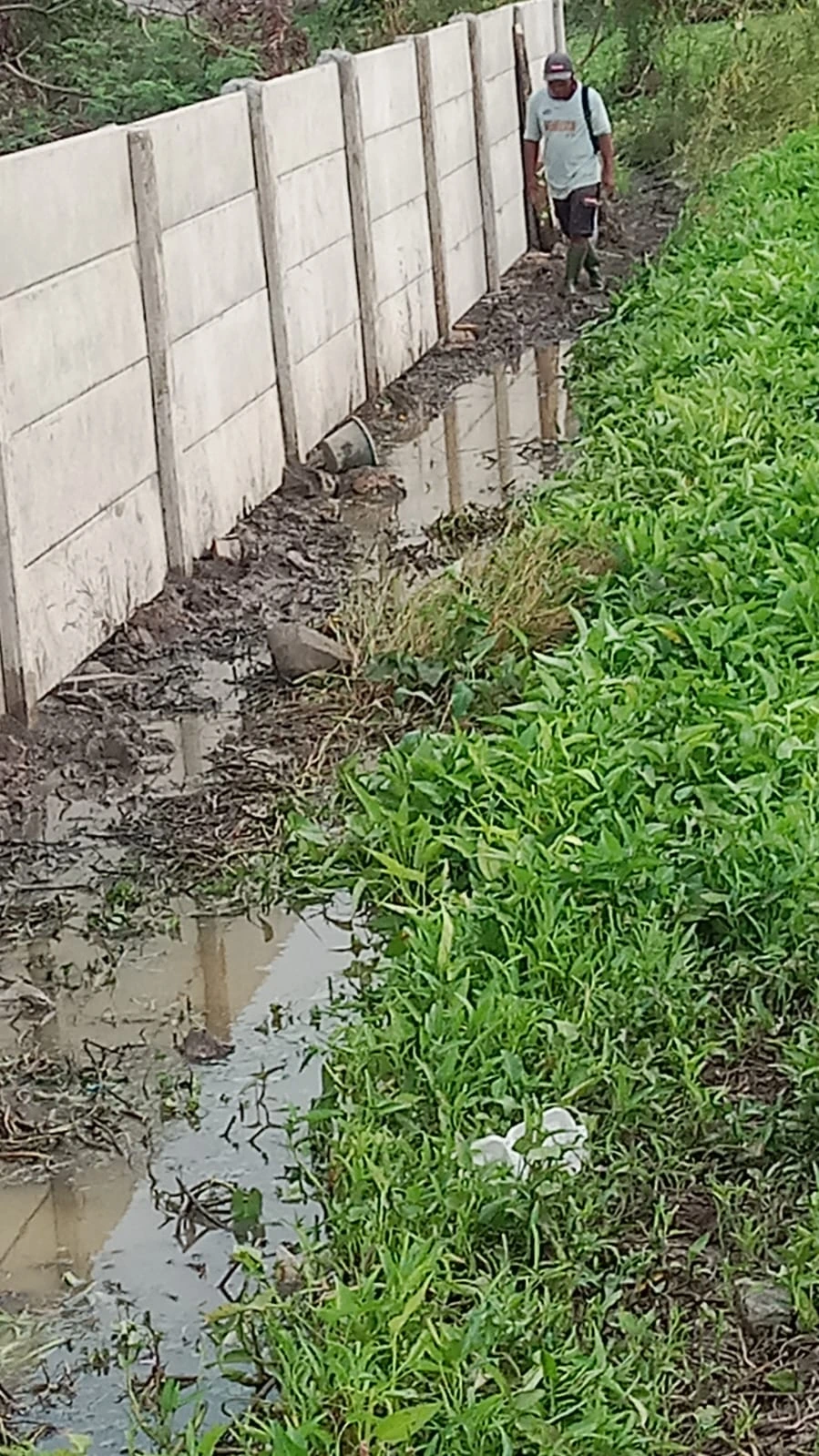 Bapak Madjid Jakarta Utara 2